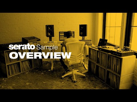 Serato Sample - Sampling and Stems Plugin