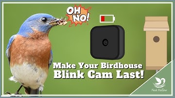 Tips: Make Your Blink Birdhouse Camera Battery Last