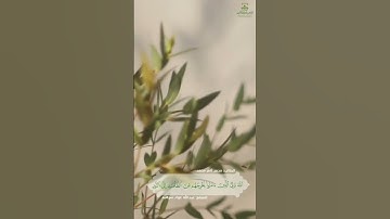 تلاوة طيبة للطالب محمد ثامر محمد #تلاوات_الطلاب