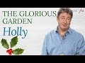 Holly | The Glorious Garden | Classic FM