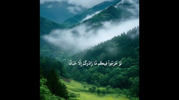 ۞ وَلَوۡ أَرَادُوا۟ ٱلۡخُرُوجَ لَأَعَدُّوا۟ لَهُۥ #تلاوة_هادئة الشيخ ماهر المعيقلي سورة التوبة