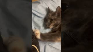 Ruby kneading on mom