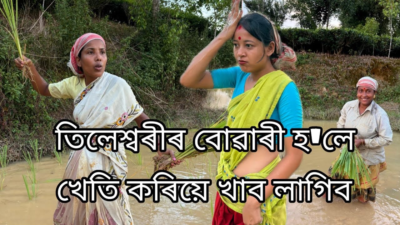 ন বোৱাৰীৰ বিলৈ 🤣পথাৰত ভুই ৰুব লাগিব🤣
