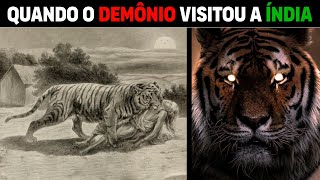 Tigre De Chapawat - Tigresa Que Comeu 436 Pessoas