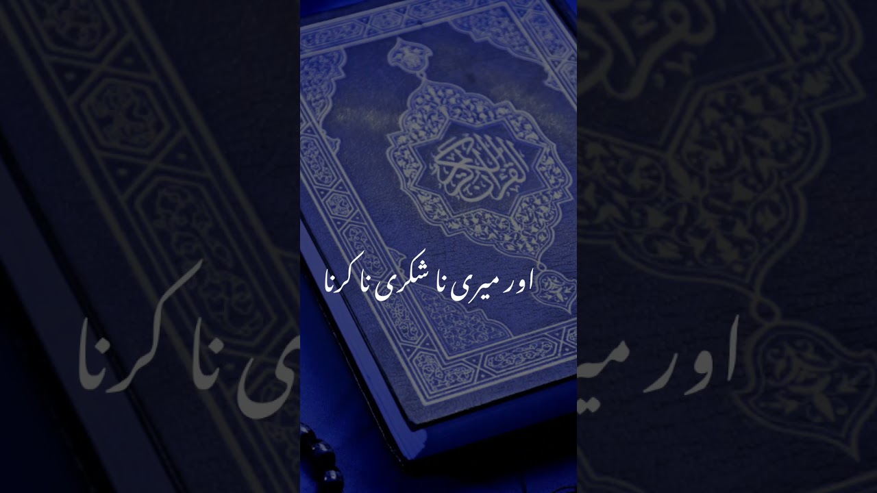 so tum mujhy yad kia karo main tumahian yad kia karon ga