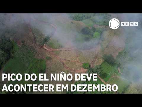 UN warns that El Niño is expected to peak in December