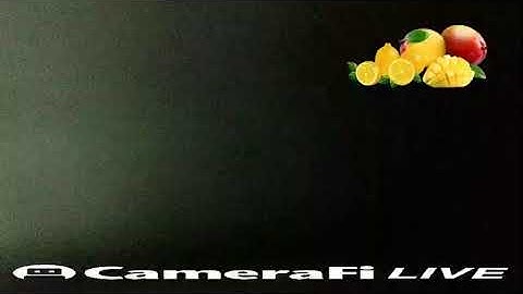 camerafi live test