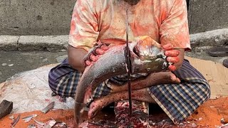 Big Head Carp Fish Cutting  Skills Step by Guide & Techniques || Amazing Fish Cutting Skills || c