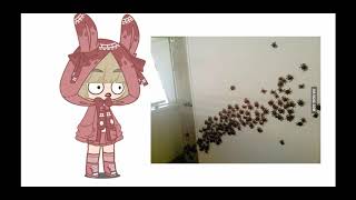 صور مررره تنرفز (┛◉Д◉)┛彡┻━┻ /اتحداكم تحسون بالراحه😭✋🏻🙂🌠/قاشا كلوب/قاشا لايف/مقاطع انستغرام/تحديu-u🌠 screenshot 5