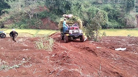 xe công nông đầu ngang giá rẻ lên dóc chở lúa về phun