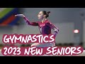 Gymnastics  6 amazing 2023 new seniors