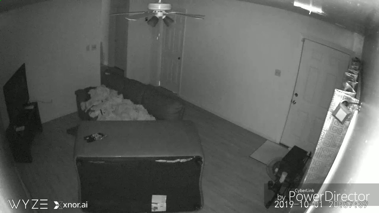My house is haunted video phone lyrics