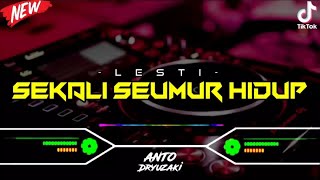 DJ SEKALI SEUMUR HIDUP - LESTI‼️ VIRAL TIKTOK || FUNKOT VERSION