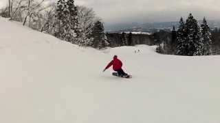 MOSS SNOWSTICK WINGPIN (175) | JACK IN THE BOX SNOWBOARD STORE