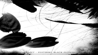 Video thumbnail of "Apey - Spiders (Fethers,Black Flowers 2010)"