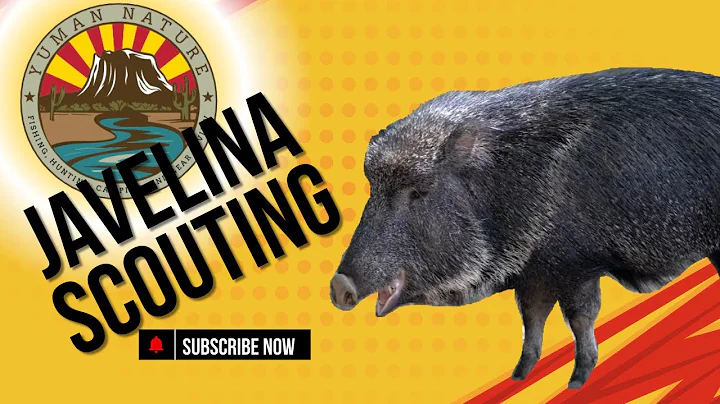 2025 Javelina Scouting