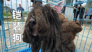 从今天起，告别流浪，以后的每一天，都要快乐