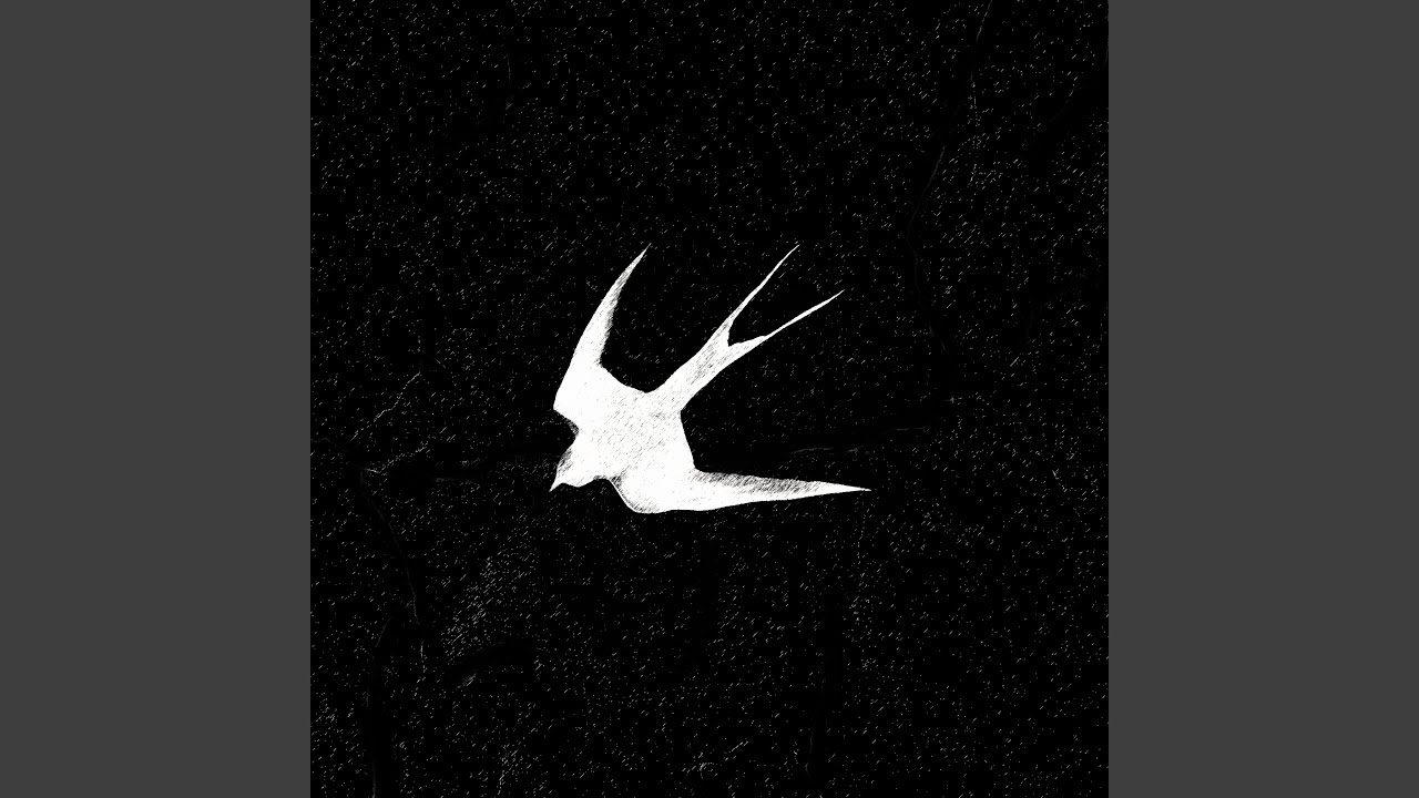 Watch Dead Bird on YouTube Watch Dead Bird on YouTube