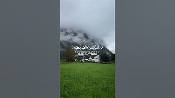 سورة النساء تلاوة خاشعة بصوت عبدالله الخلف