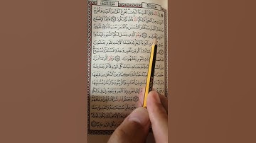 تعليم سورة الأنعام من الآية 95 إلى الآية 97