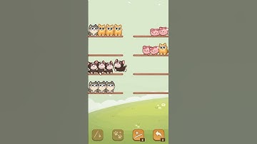 Tricky Cat Game - Cat Sort Game level 6 #cats #games