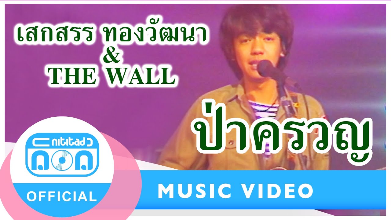 ป่าครวญ - เสกสรร ทองวัฒนา & THE WALL (ภาพในสตูดิโอ)