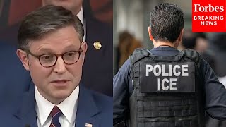 Reporter Asks Mike Johnson: Are You Worried That There Will Be Less Experienced Leadership At ICE?