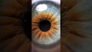 Ultra macro of the EYE #iris #macro #eyes #macrophotography
