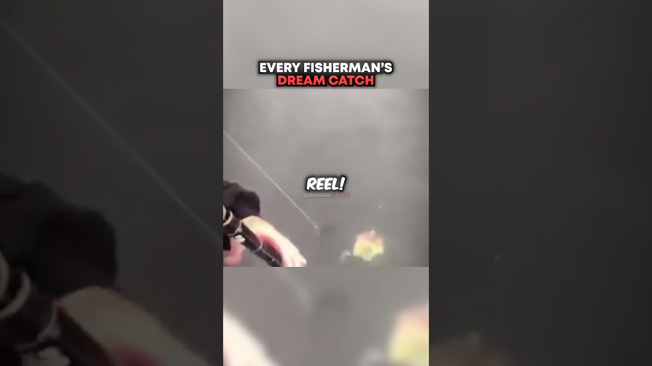 Every Fisherman's DREAM Catch 🤯