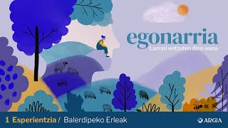 1. Esperientzia: Balerdipeko Erleak