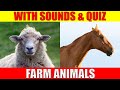 FARM ANIMAL PICTURES With Sounds and Names for Babies & Toddlers - Animal Quiz
