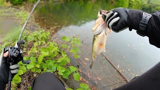 バチクソ釣れるのに... / 何故か、日本では流行らない最強ルアー