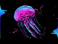 Mattip music  medusa