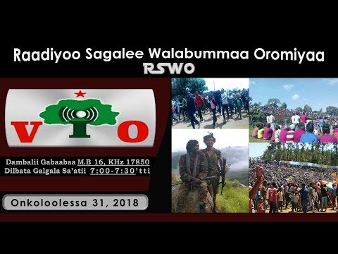 RSWO Onkoloolessa 31 2018 Lola WBO Fi Uummata Rratti Lixaafi Kibba Oromiyaatti Banamee Jiru