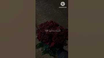 قران كريم بصوت جميل جدا /اكتب شيء تؤجر عليه 🤍