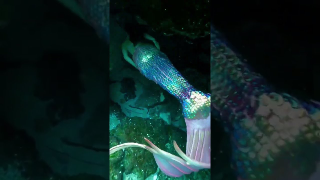Cave Dives Overwhelm Me Mermaid H2o Floridatravel Underwater Diving Cosplay Littlemermaid