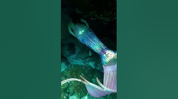 Cave dives overwhelm me 😳 #mermaid #h2o #floridatravel #underwater #diving #cosplay #littlemermaid