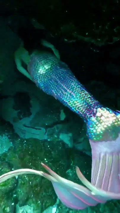 Cave dives overwhelm me 😳 #mermaid #h2o #floridatravel #underwater #diving #cosplay #littlemermaid