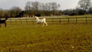 20100313_001.mp4