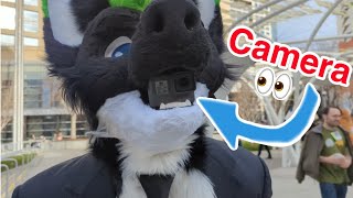 Vlogging Further Confusion 2024 From my Fursuit Mouth!