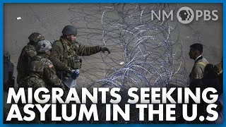 Migrants Seeking Asylum in U.S. | In Focus