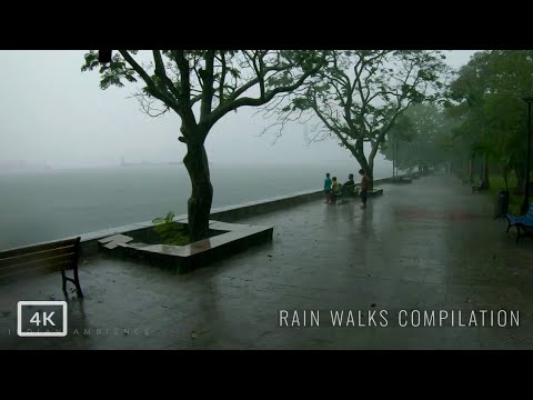 Walking in Heavy Rain  3 Hours Our Rain Walks Compilation  ASMR Rain Sounds for Sleep  meditation