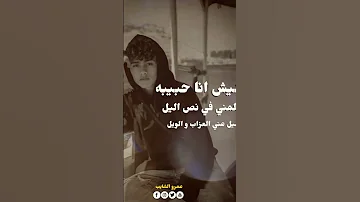 مليش انا حبيبه تكلمني في نص اليل عمرو الشايب حالات واتس المشير الشايب اكسبلور تصميمي 
