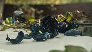 Thumbnail for Remember Death