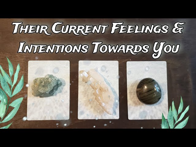 🧄☕🌿 Their Current Feelings u0026 Intentions 🌿☕🧄 Pick A Card Love Reading class=