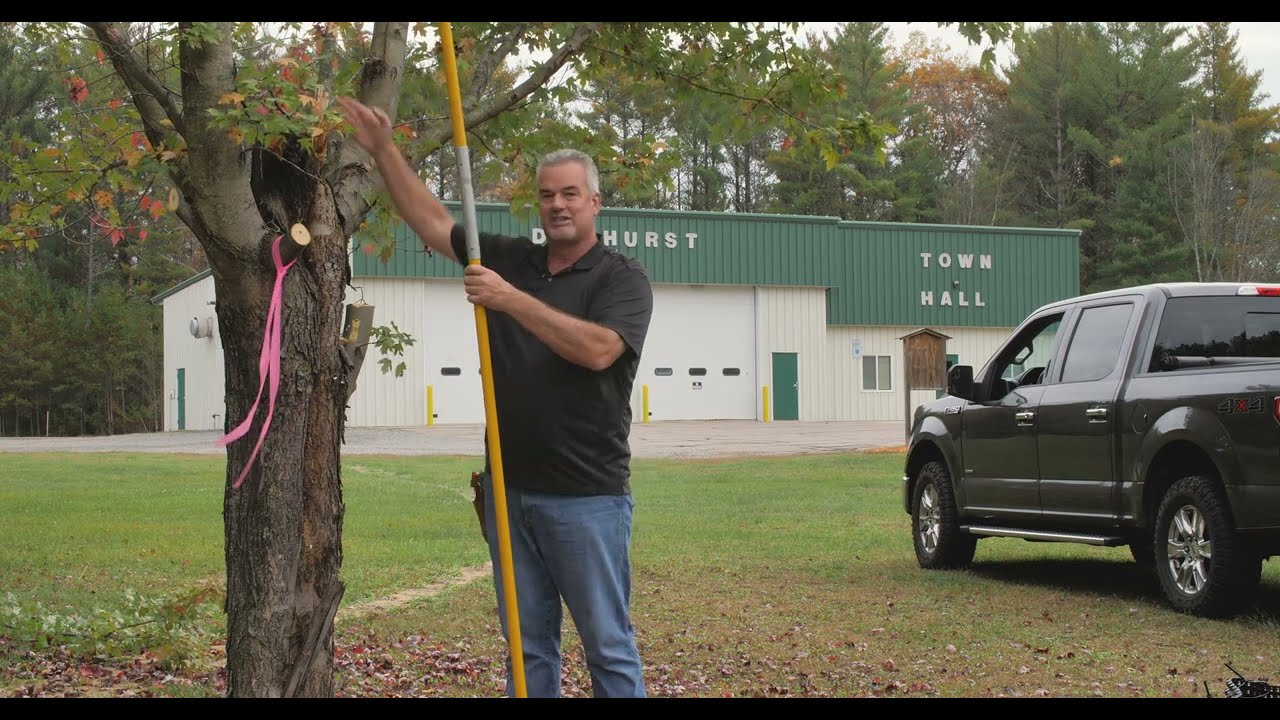 Role of Stewardship in Shaping Urban Forests: A Legacy-Trees Narrative