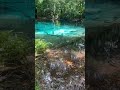 Mesmerizing Blue Pool in Krabi, Thailand 🇹🇭 | travel #thailand #shortvideo #shortsfeed