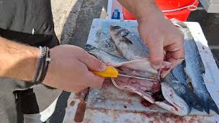 Πως καθαρίζουμε τα λαβράκια 🐟☝️👌