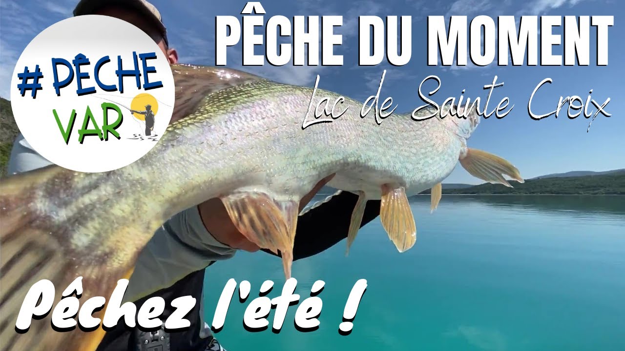 PÊCHE DU MOMENT - Lac de Sainte Croix