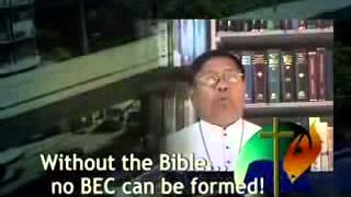 Basic Ecclesial Community